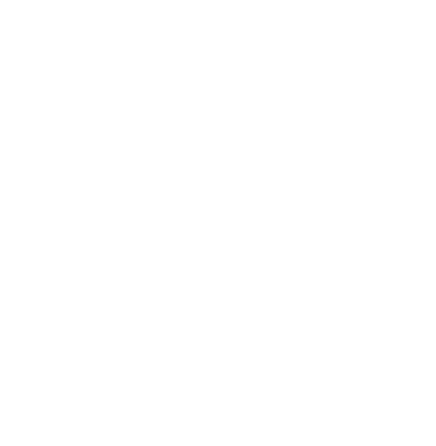 network icon